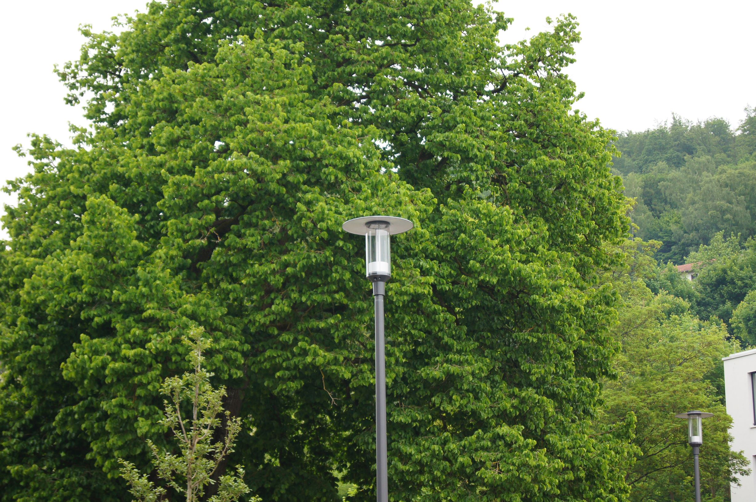Bad Kissingen Parkplätze Bad Kissingen Parkplätze